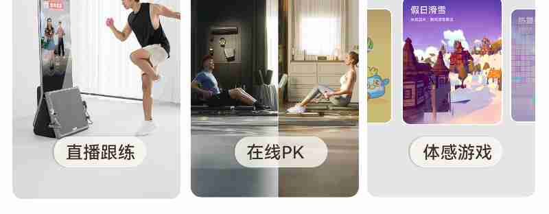 图为红叶李映衬下的布达拉宫。贡嘎来松 摄